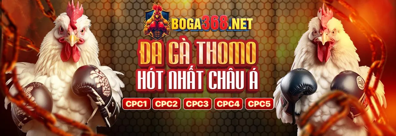 Hình ảnh chính AW8 Chính Thức