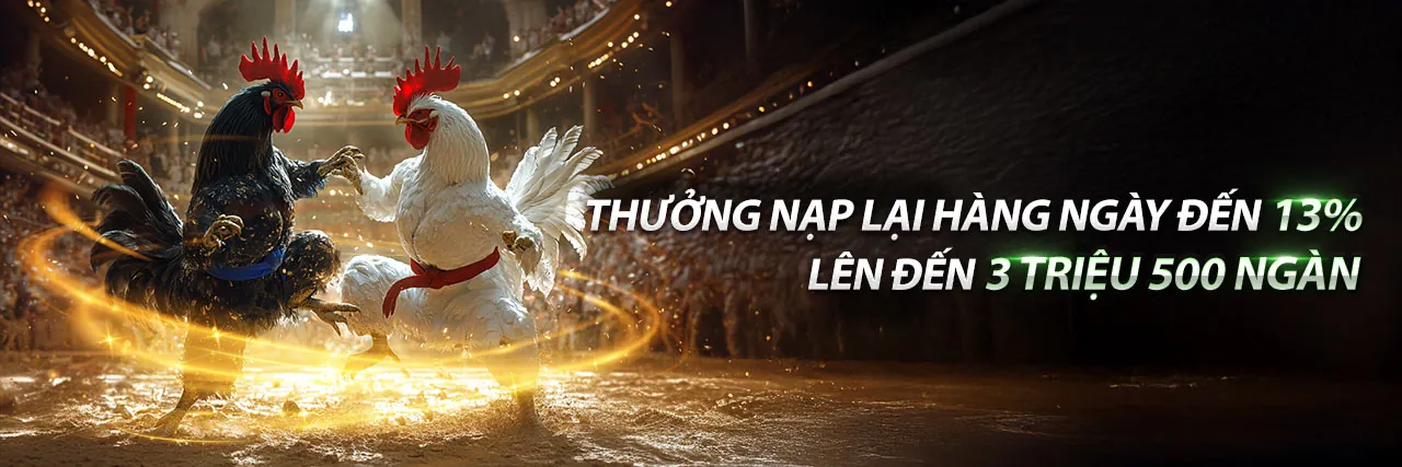 AW8 Chính Thức - Nền Tảng Cá Cược Hàng Đầu